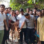 ভিক্টোরিয়ার নজরুল হলে স্বৈরাচার নামে গরু জবাই
